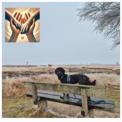 Zelfvertouwen en eigenwaarde 7 juni 2025 13:00-15:00